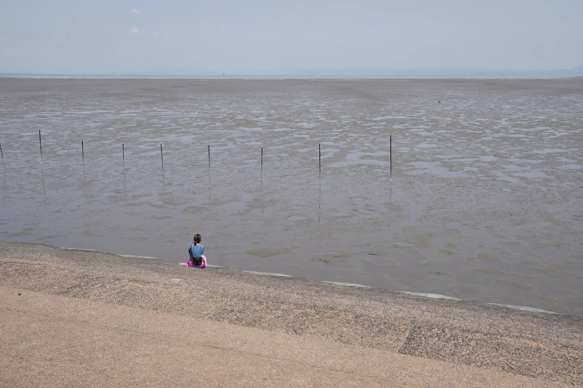 The wide grey tidal flats of the Ariake Sea at low water, dotted with nori farming poles and a distant shoreline