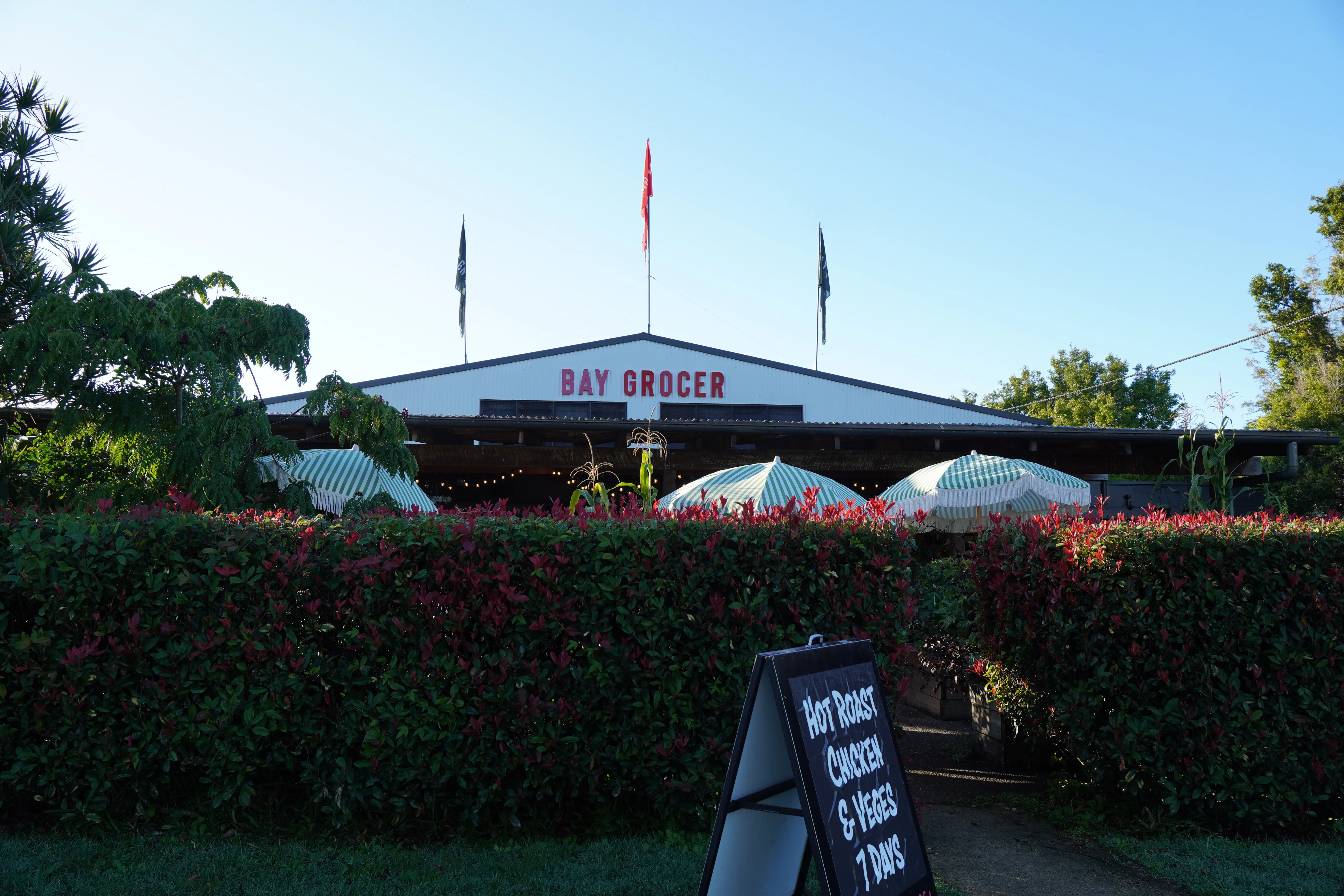 Pocket Rice and Bay Grocer Byron Bay pop-up announcement artwork