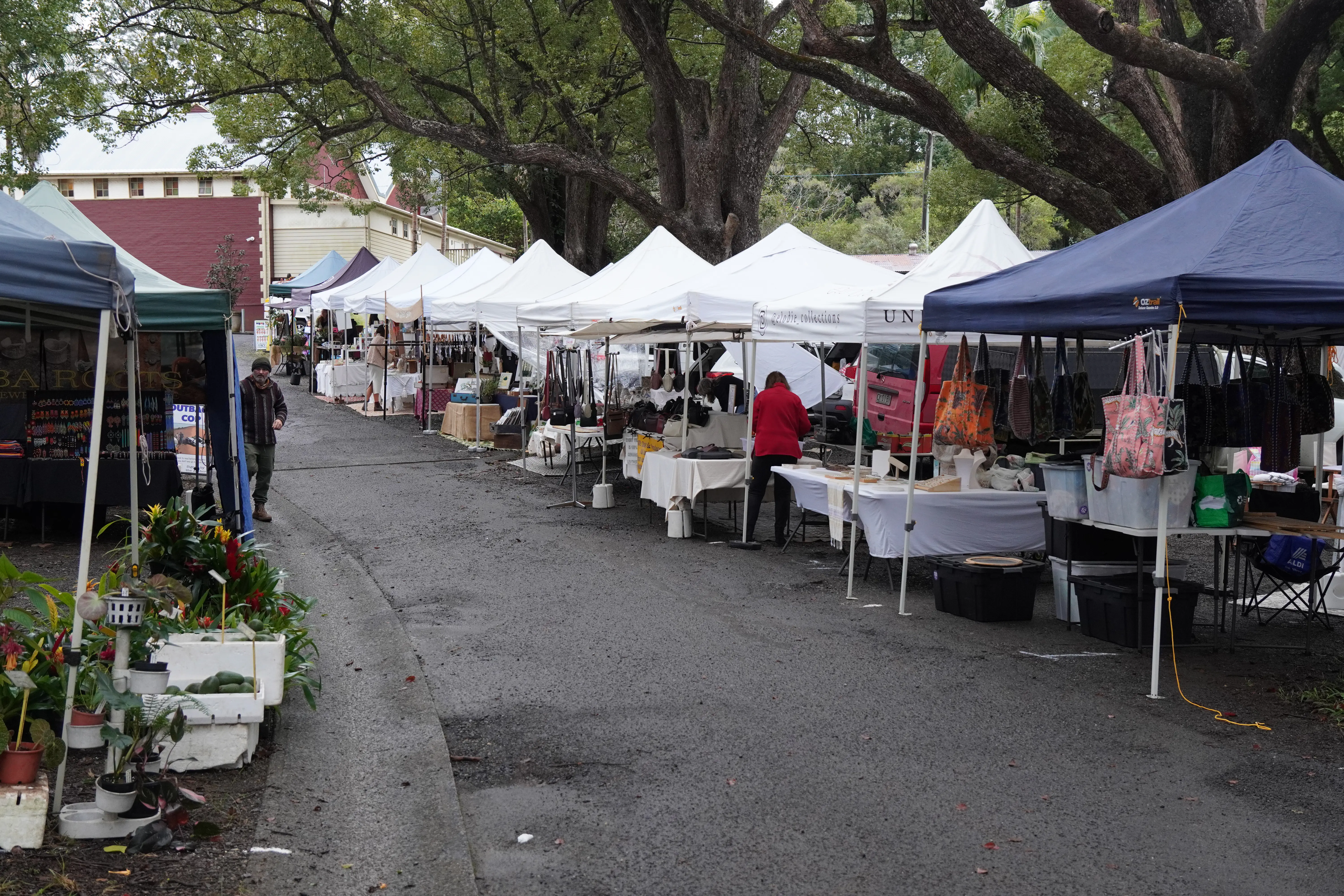 People walking through Bangalow Markets