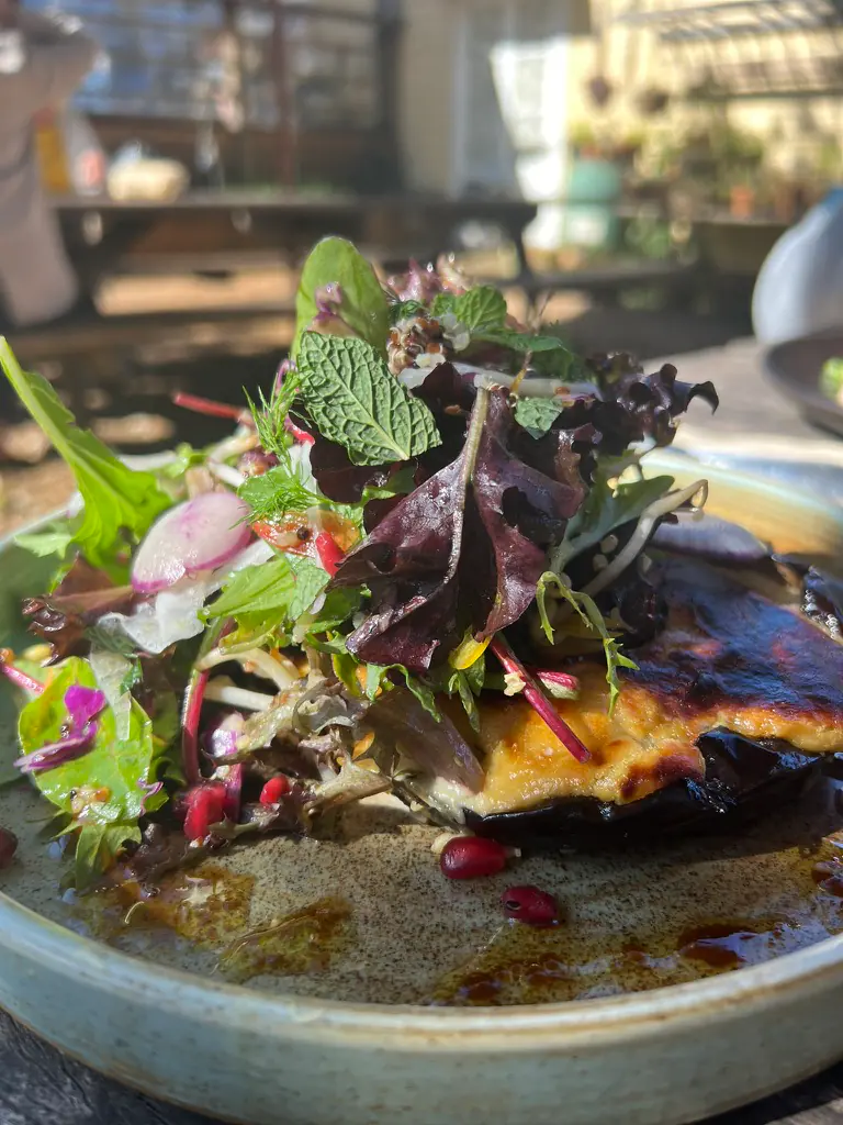 A miso-glazed grilled eggplant topped with a fresh herb and leaf salad and pomegranate seeds on a ceramic plate at Federal Doma Cafe