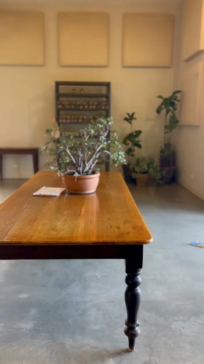 The long communal timber table in the pared-back dining room at Frida's Field, with a potted plant and concrete floors
