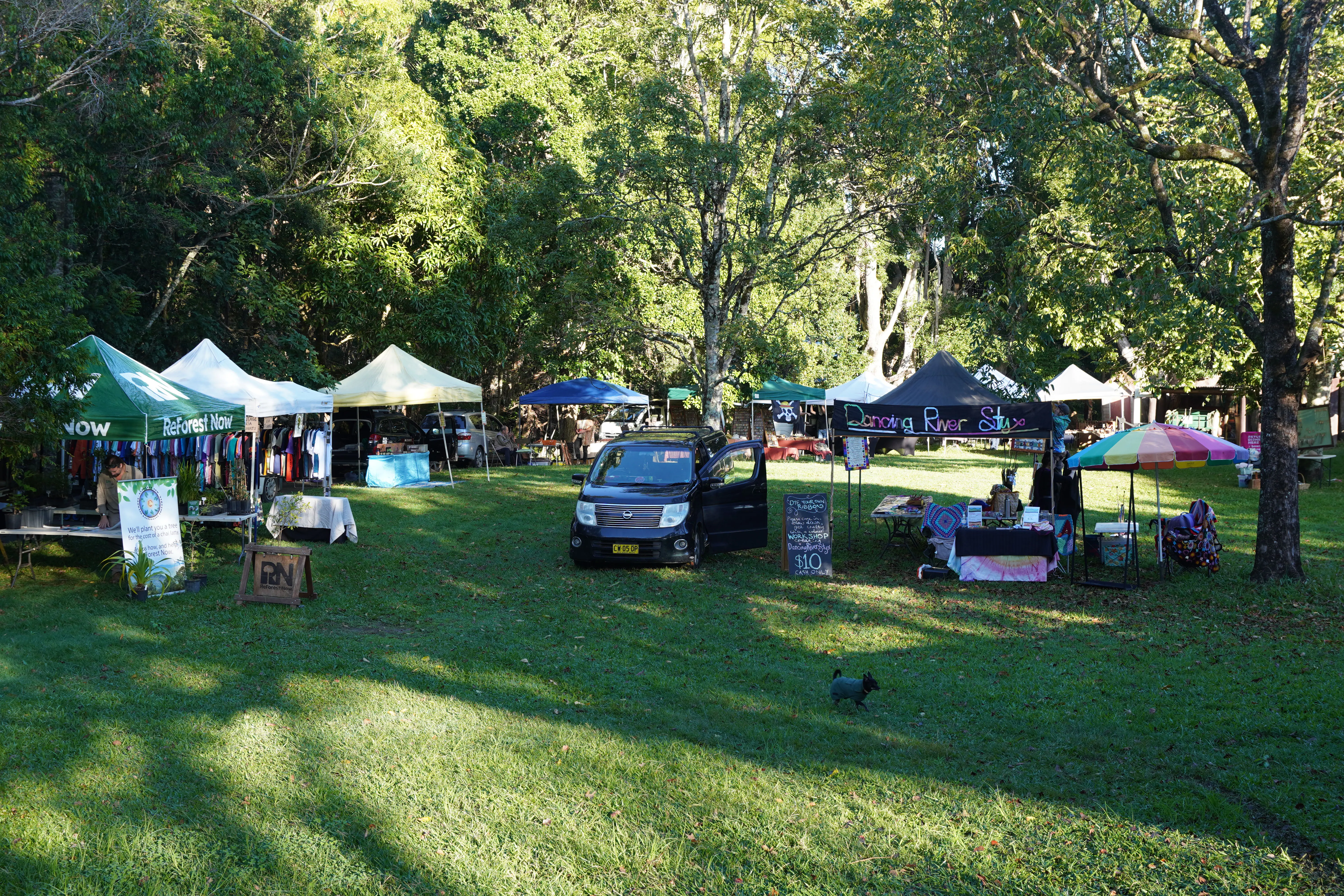 Park view across Mullumbimby Community Markets