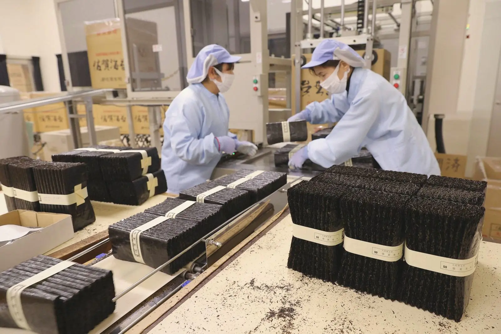 Two workers in caps and masks bundling stacks of nori sheets with paper bands.