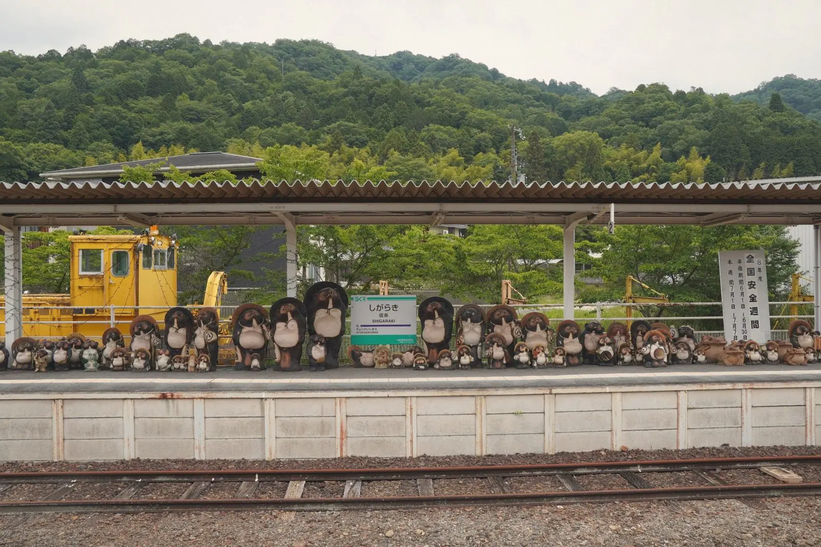 Shigaraki Station platform lined with dozens of ceramic tanuki statues, with green hills behind.