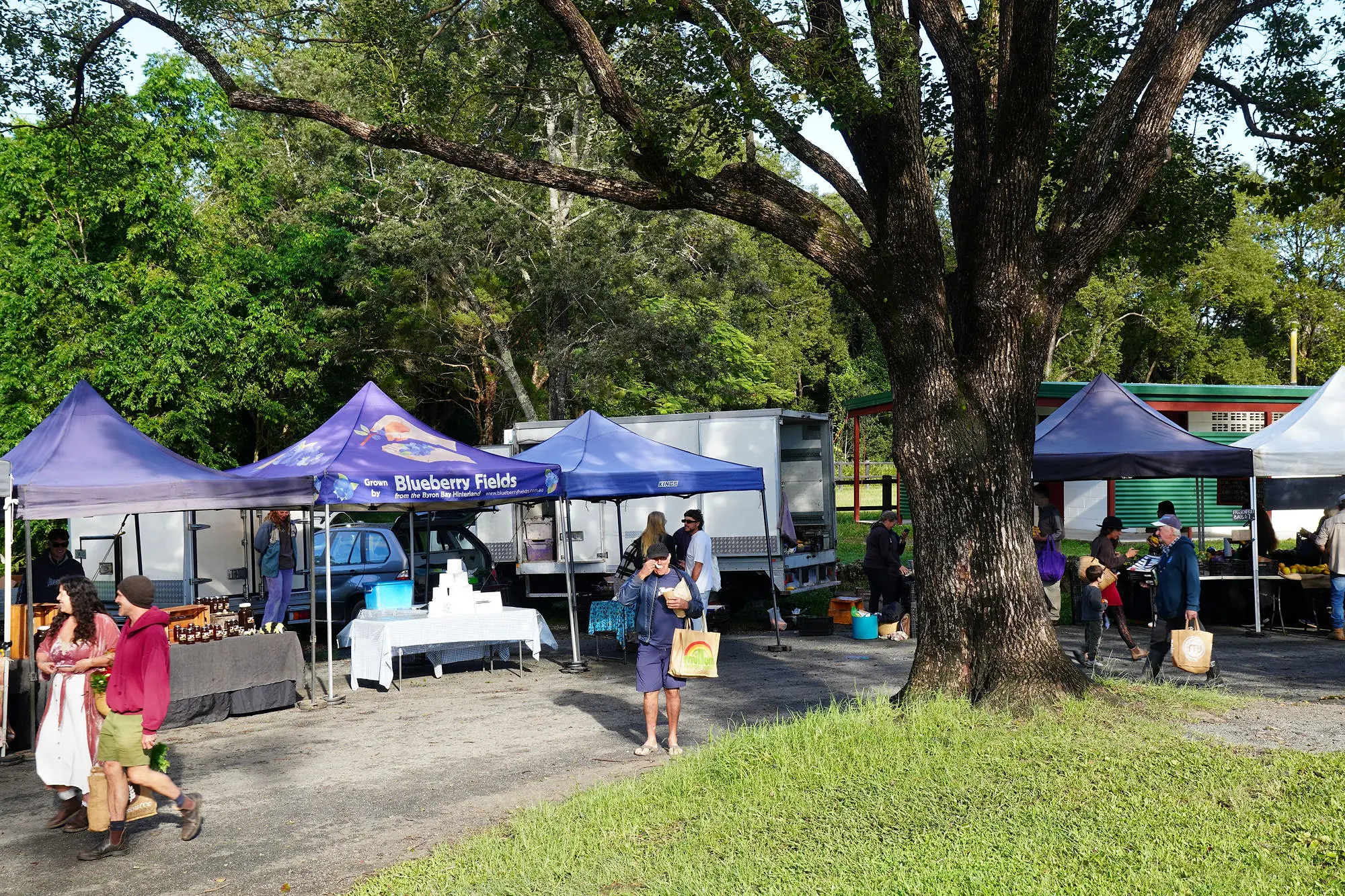 A Blueberry Fields producer stall grown in the Byron Bay hinterland at the Mullum Farmers Market